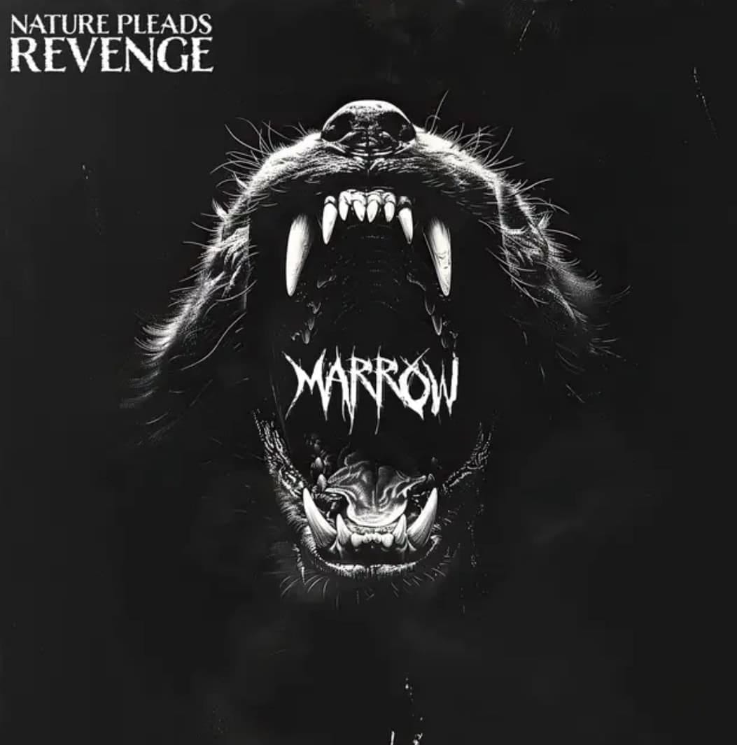 Song Review | "Marrow" - Nature Pleads Revenge