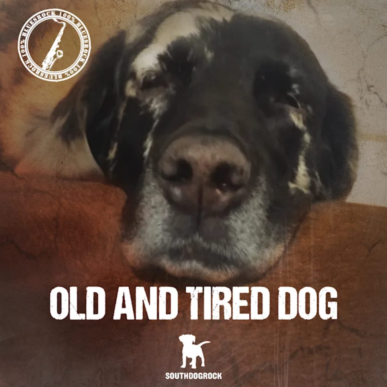 Song Review: “Old and Tired Dog” - SOUTHDOGROCK