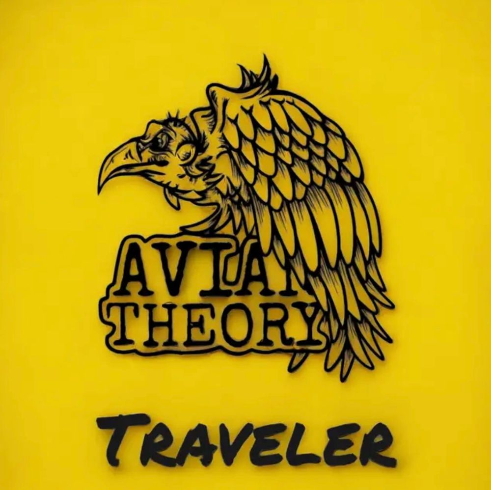 Song Review | "Traveler"  - Avian Theory post image