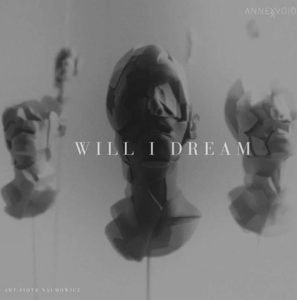 EP Review | "WILL I DREAM" - Annex Void post image