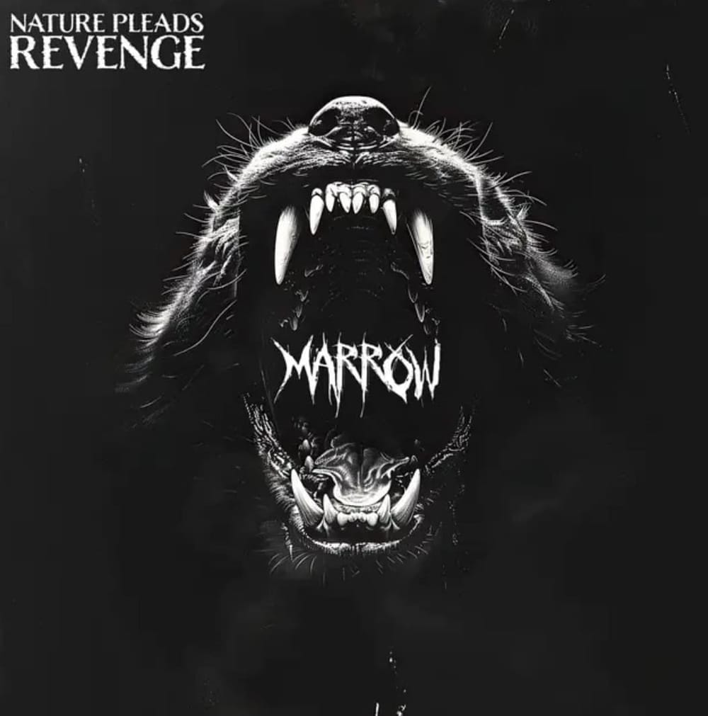 Song Review | "Marrow" - Nature Pleads Revenge post image